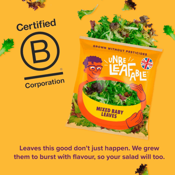 Unbeleafable Mixed Babyleaf Salad - Image 2